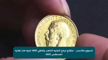 أسبوع مكاسب.. ارتفاع أرباح الجنيه الذهب يتخطى 1400 جنيه منذ نهاية أغسطس 2025